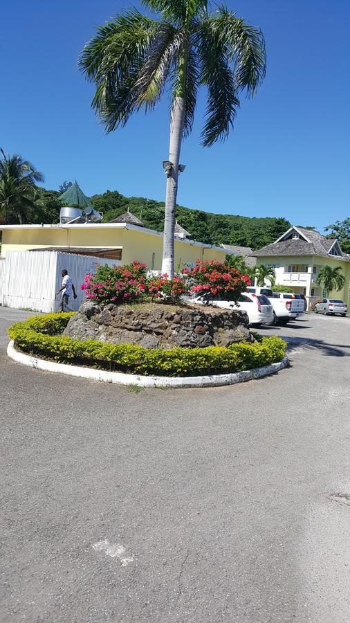 Studio19 At Mystic Ridge Leilighet Ocho Rios Eksteriør bilde